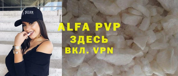 прущие грибы Богданович