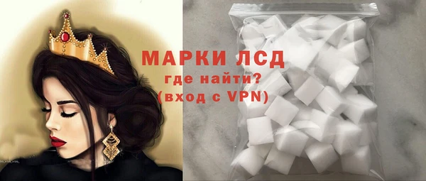 прущие грибы Богданович