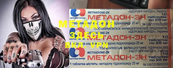 прущие грибы Богданович