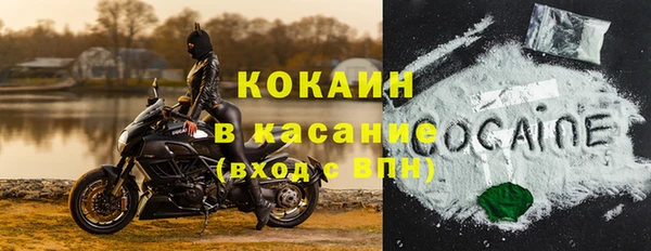 прущие грибы Богданович