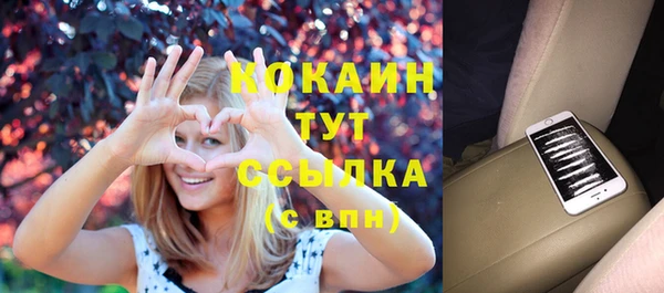 прущие грибы Богданович