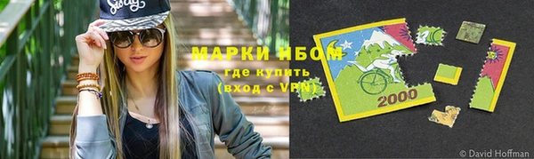 прущие грибы Богданович